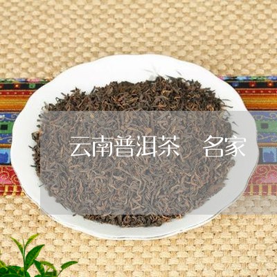 云南普洱茶 名家/2023031688593